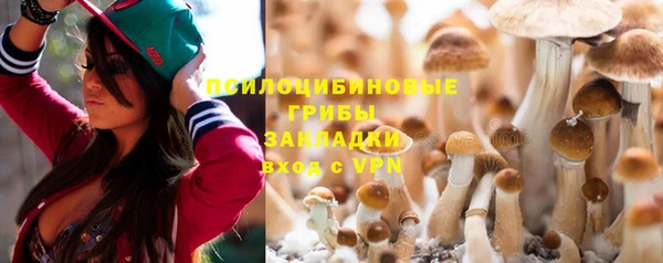 трава Пересвет
