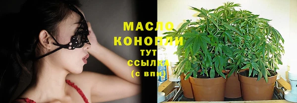 мет Пестово