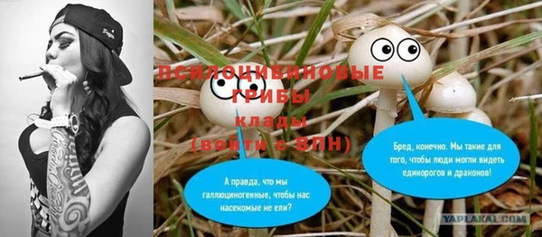 МДПВ Абинск