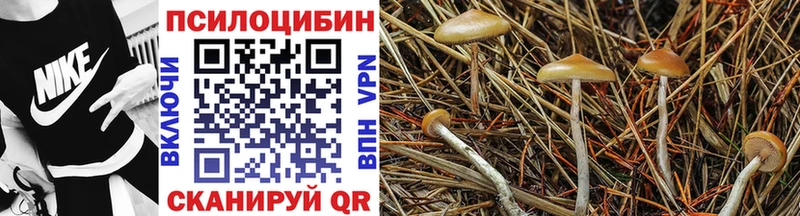 Галлюциногенные грибы ЛСД  Иланский 