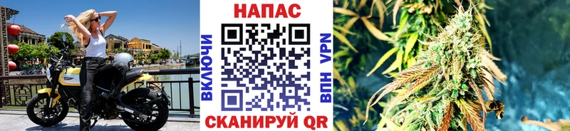 shop Telegram  наркотики  Иланский  Бошки марихуана план 